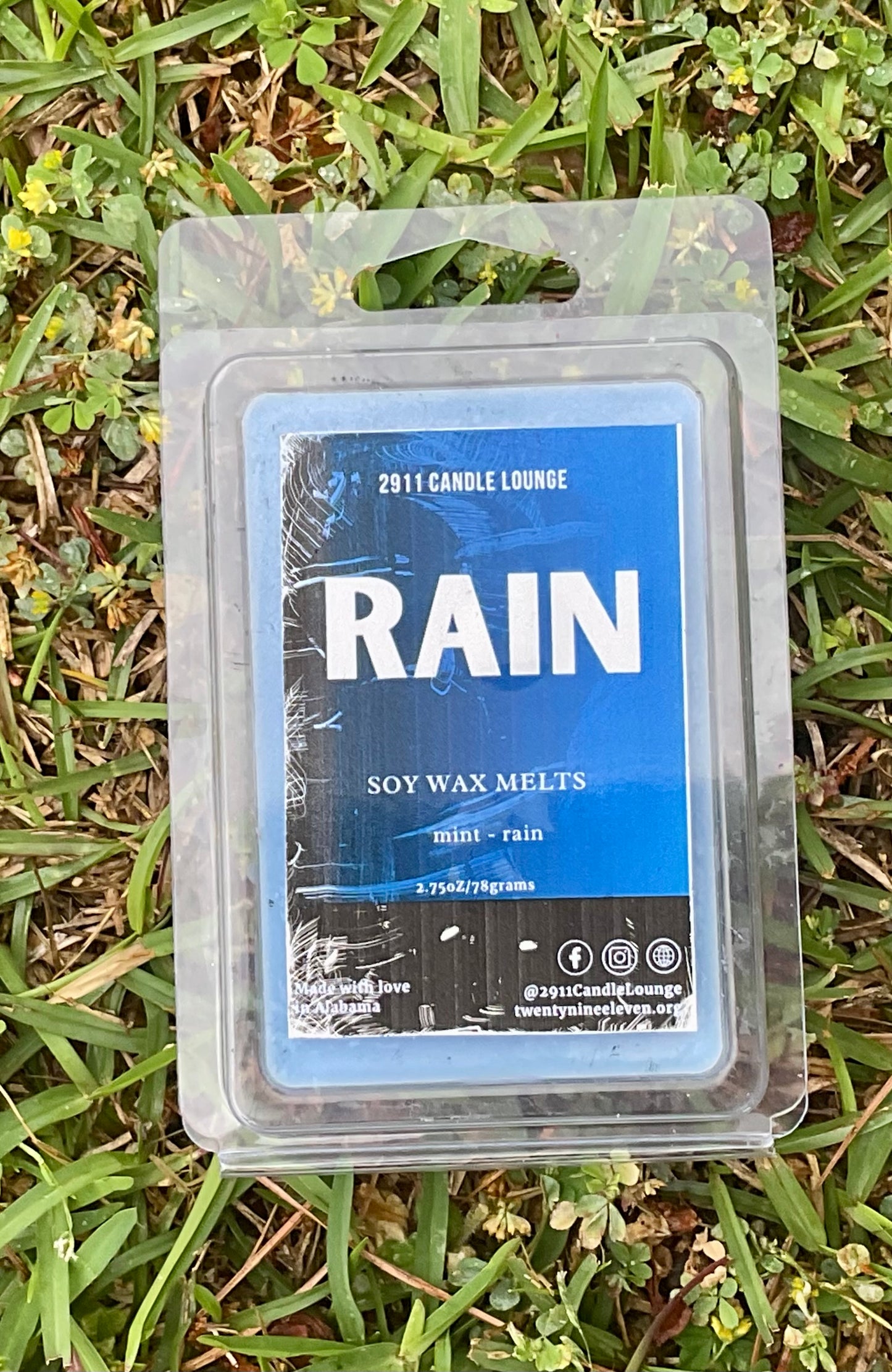 Rain (waxmelt)